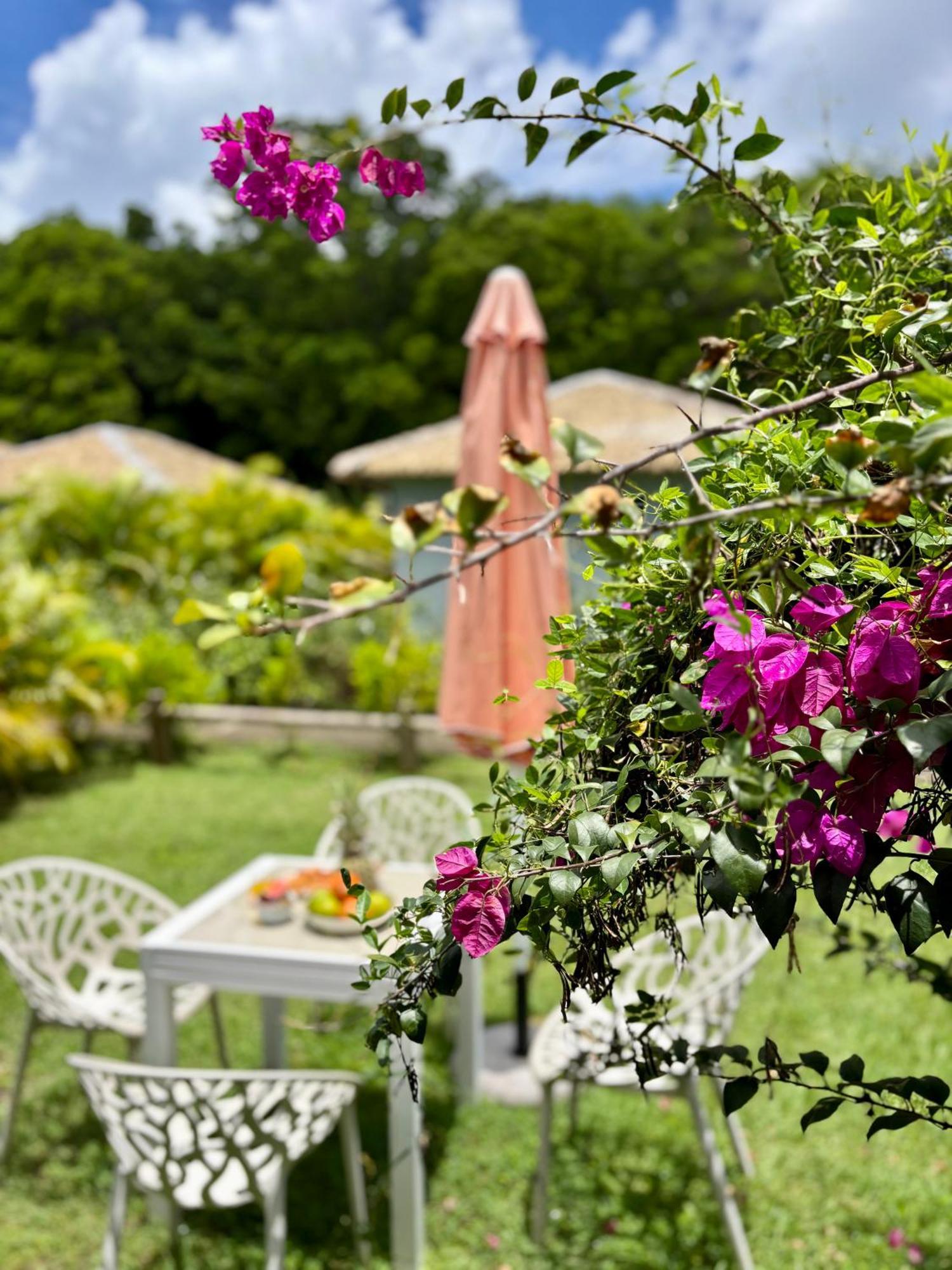 L Oralya - Blue Dream, Plage, Piscine, Restaurant Grand-Bourg  Luaran gambar